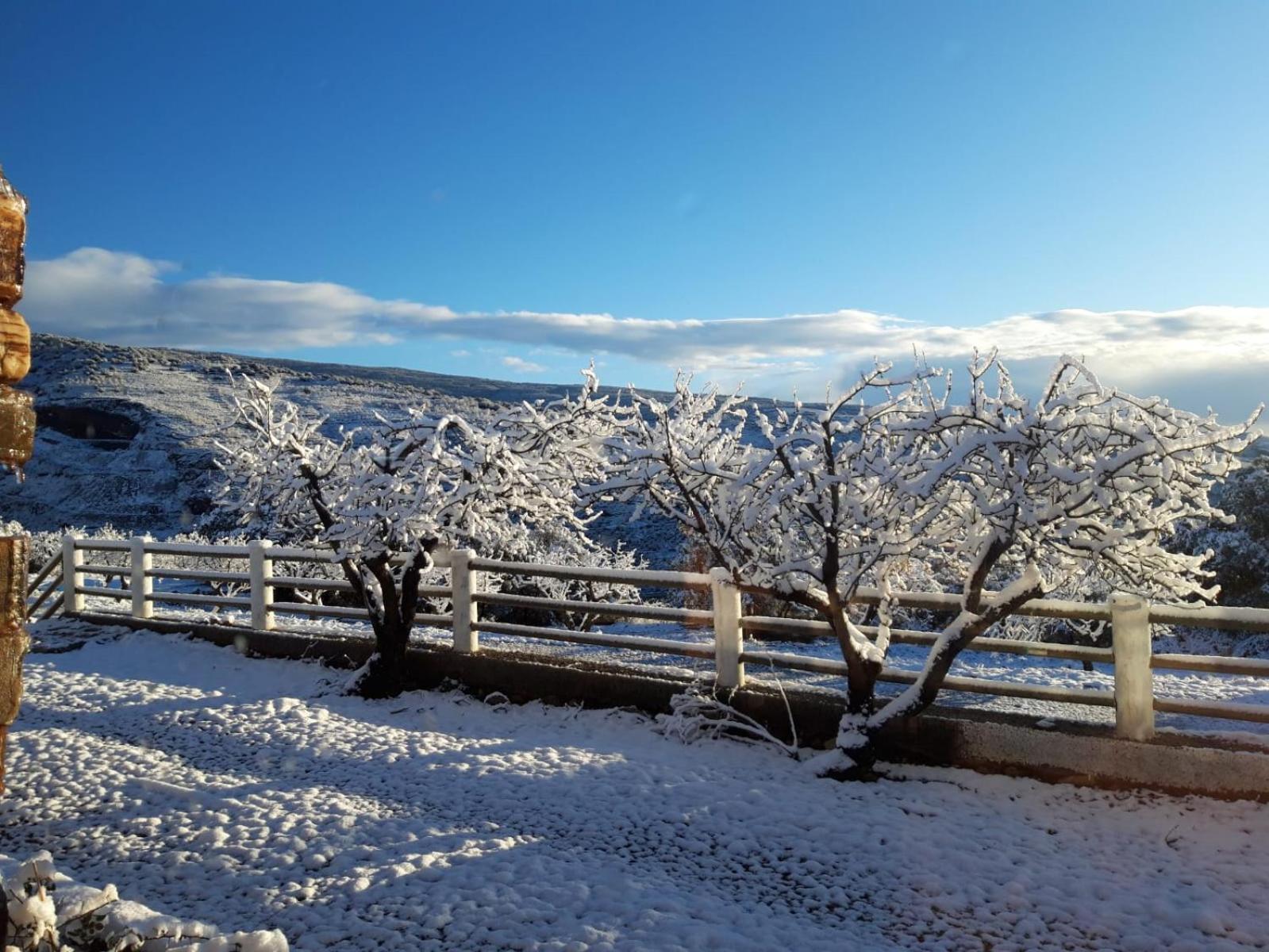 El Paraje Del Chef Laroles Esterno foto